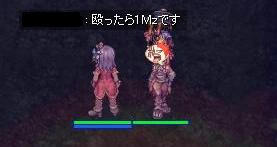 1M.JPG