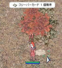 bd490cc5.jpeg