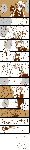 d6.gif