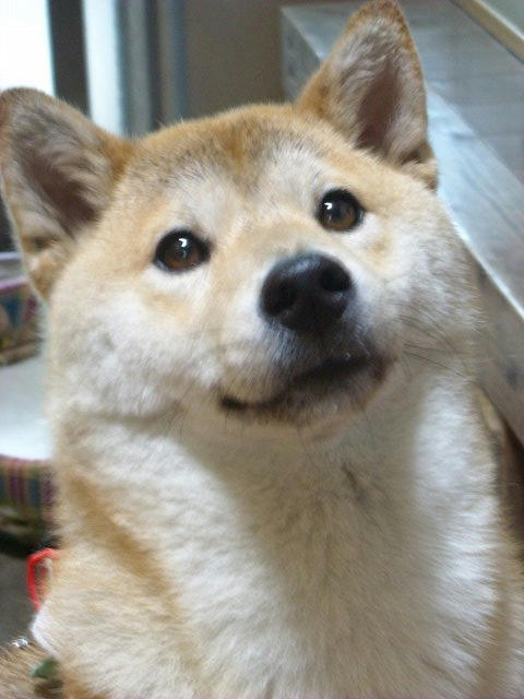 DSCN3978.jpg