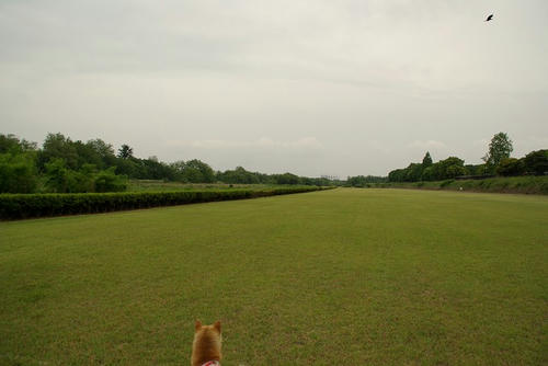 IMGP8364.jpg