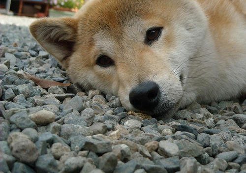 DSCN4036.jpg