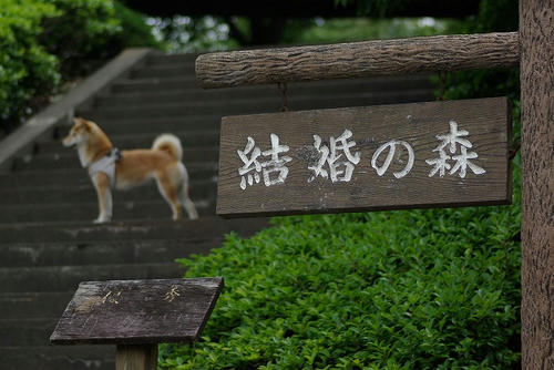 IMGP8868.jpg
