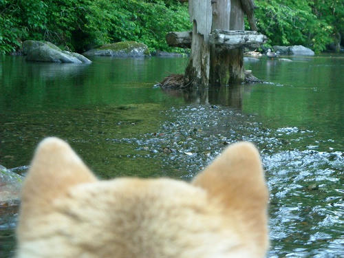 DSCN4239.jpg