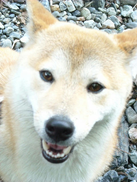 DSCN4208.jpg