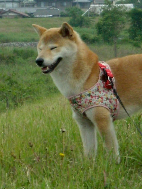 DSCN4331.jpg