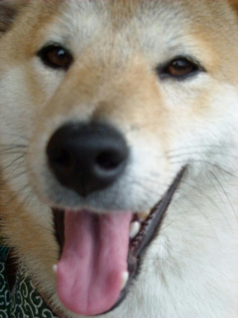 DSCN4351.jpg