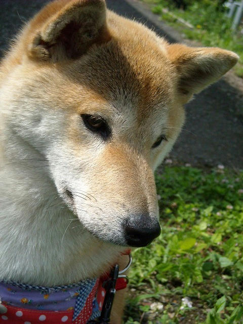 DSCN4354.jpg