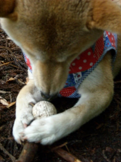 DSCN4374.jpg
