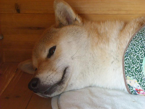 DSCN4537.jpg