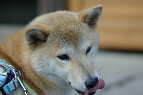 IMGP9304.jpg