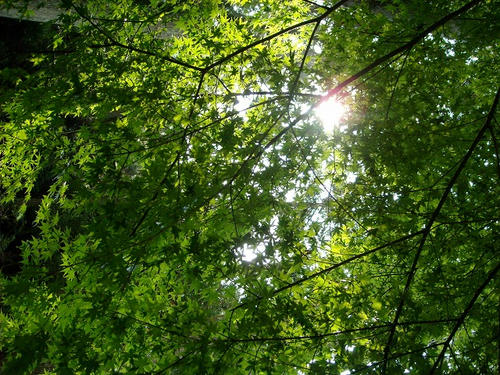 DSCN4763.jpg