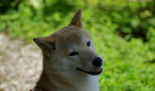 IMGP0219.jpg