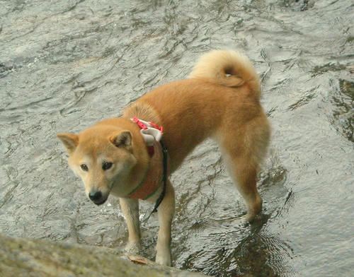 DSCN4953.jpg