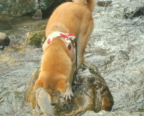 DSCN4956.jpg