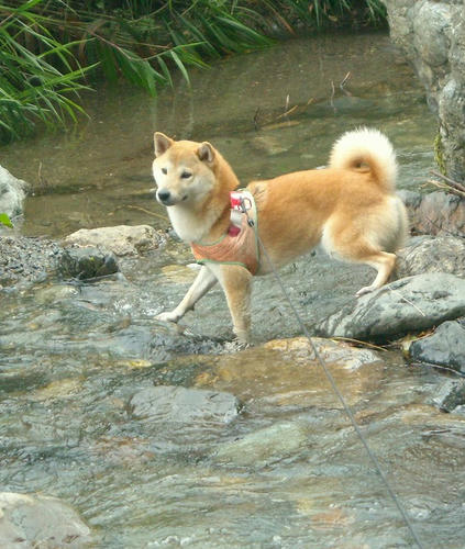 DSCN4977.jpg