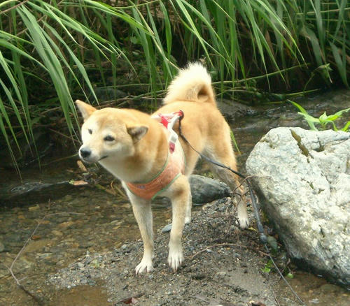 DSCN4980.jpg
