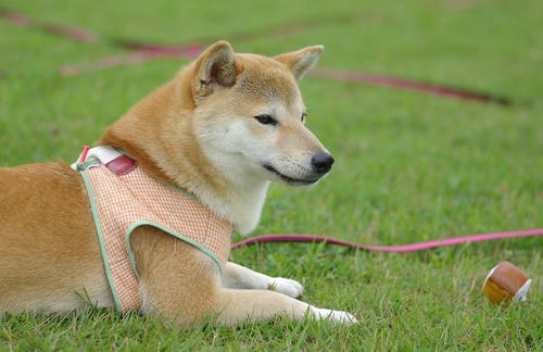 IMGP9710.jpg