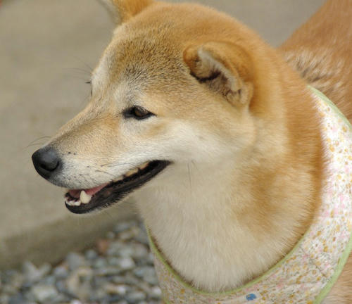 IMGP9909.jpg