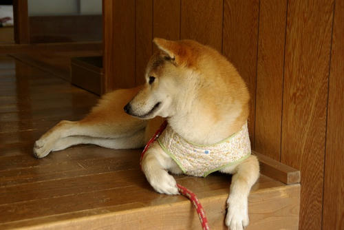 IMGP0020.jpg
