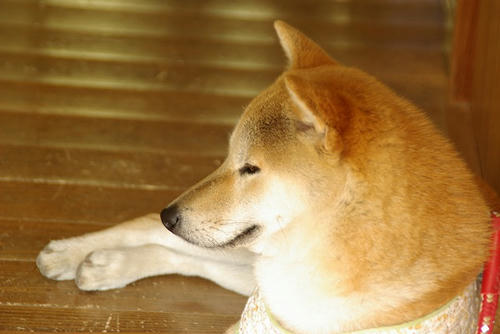 IMGP0035.jpg