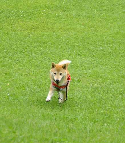 IMGP9786.jpg