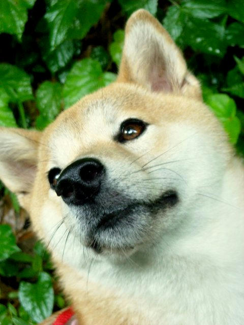 DSCN5055.jpg