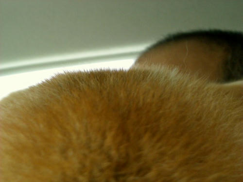 DSCN4873.jpg