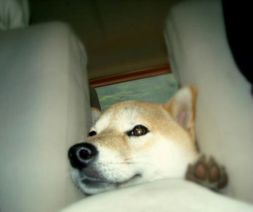 DSCN5076.jpg