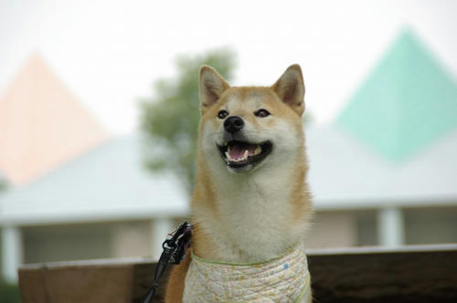 IMGP2392.jpg