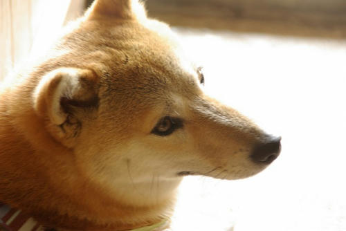 IMGP9980.jpg