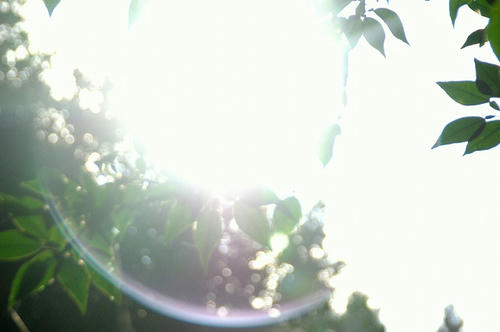 IMGP2614.jpg