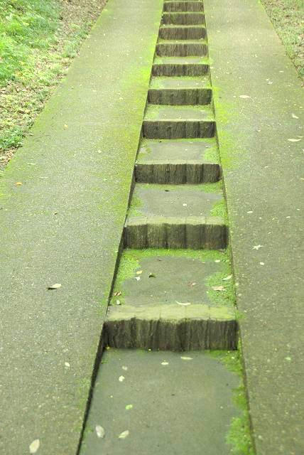 IMGP1111.jpg