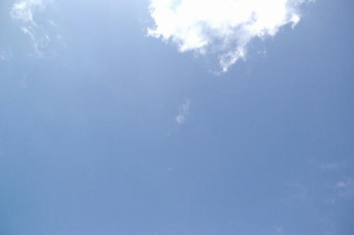 IMGP2607.jpg