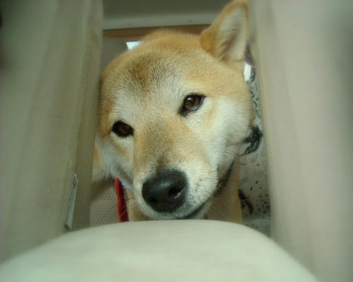 DSCN5342.jpg
