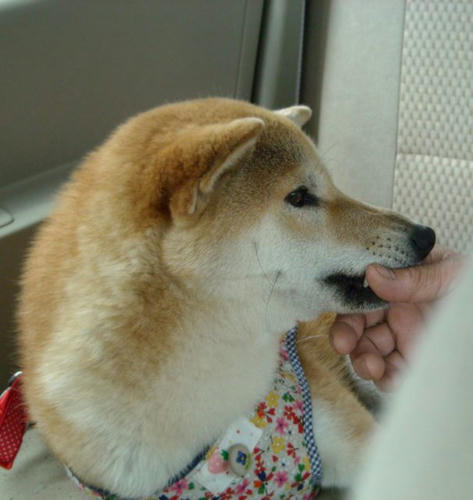DSCN5357.jpg