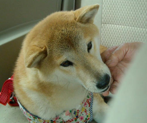 DSCN5358.jpg