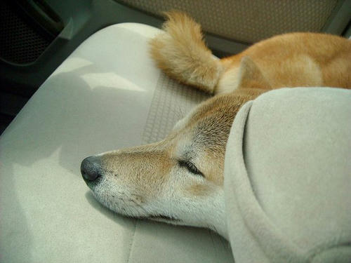 DSCN5367.jpg