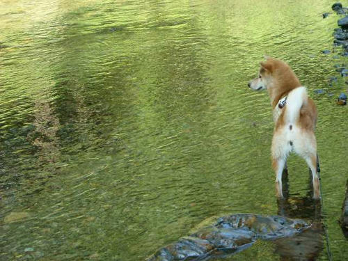 DSCN5932.jpg
