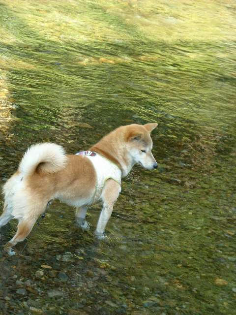 DSCN5935.jpg