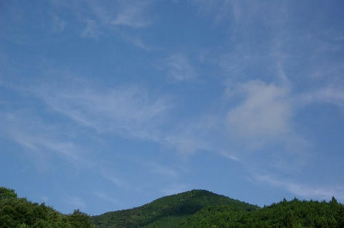 IMGP5221.jpg