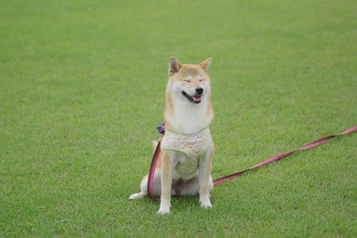 IMGP9982.jpg