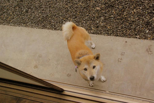 IMGP0509.jpg