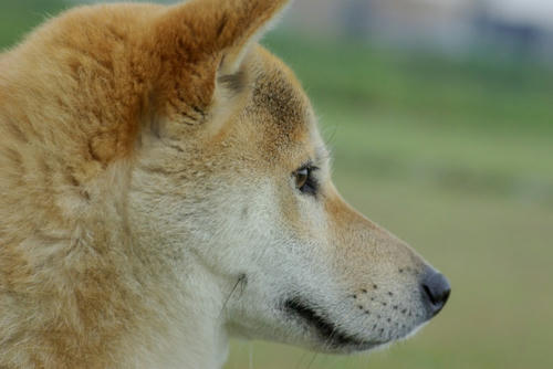 IMGP0701.jpg