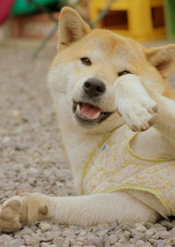 02a7dab7.jpg