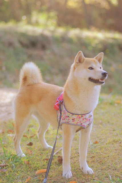 IMGP3014.jpg