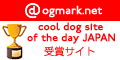 cool dog site of the day JAPANへ