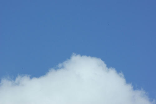 IMGP7951.jpg