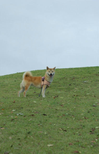 IMGP0862.jpg