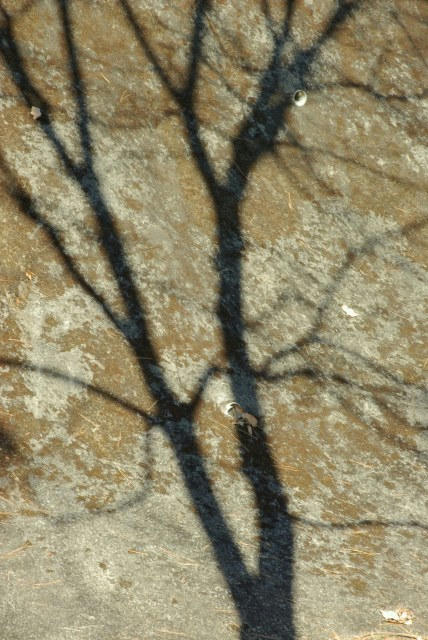 IMGP8092.jpg